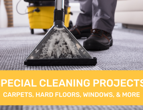 Special Cleaning Projects: Carpets, Hard Floors, Windows, and More