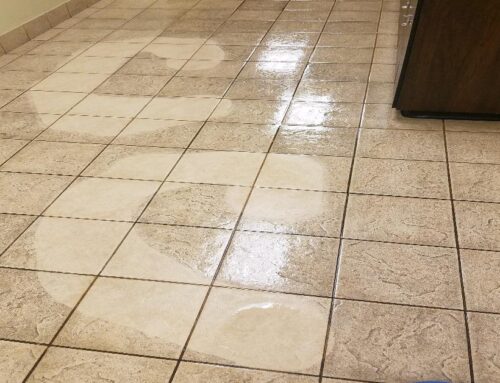 Project Lookback | Tile and Grout Cleaning | The Parks Fitness